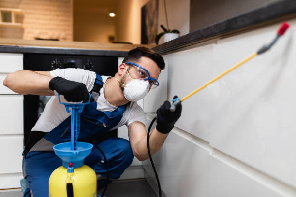 Best Local Pest Control Services  in Nellysford, VA