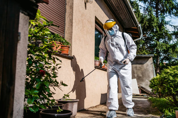Best Pest Removal Services  in Nellysford, VA